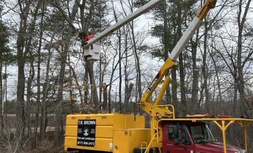 T.R. Brown Tree and Landscape LLC