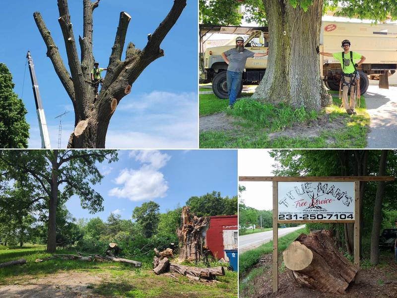 True Man's Tree Service