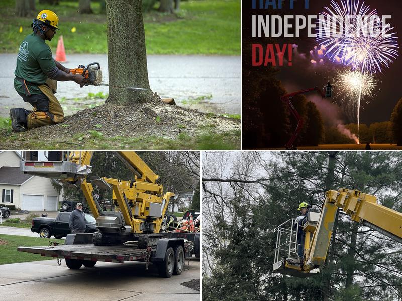 J Thomas Tree Service