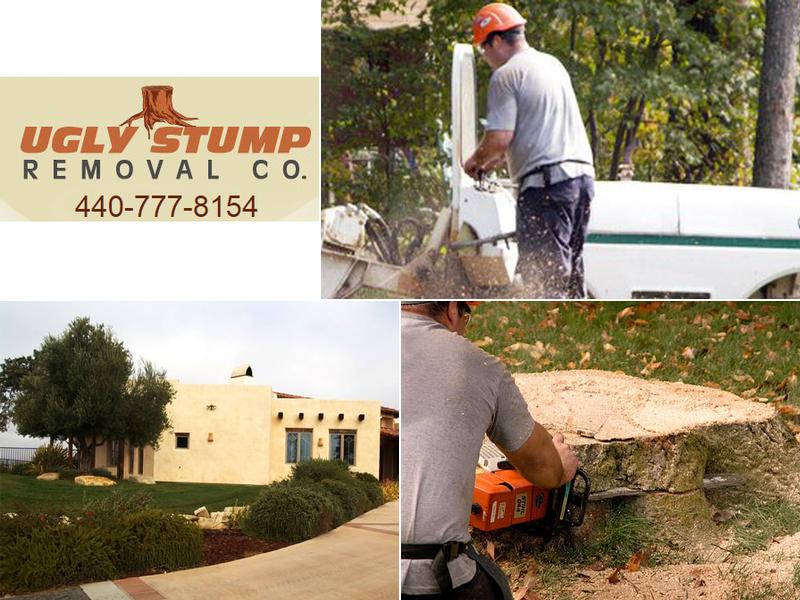 Ugly Stump Removal Co