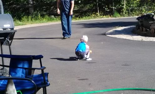 Vernon Imel Tree Service 8105 Burbank Rd, Tillamook Oregon 97141