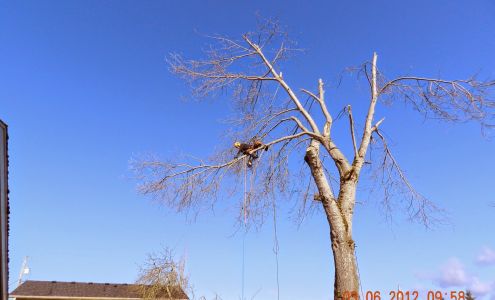 Treewalker, LLC 1727 Starview Ln NW, Olympia Washington 98502