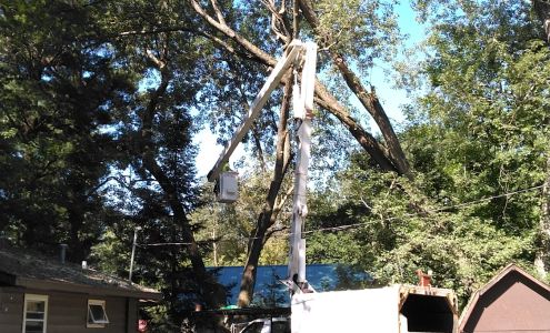 Jerry's Tree Service and Stump Grinding 593 23rd St, Chetek Wisconsin 54728