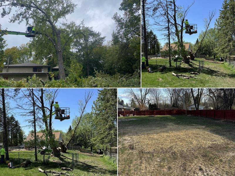 Precision Home Care LLC