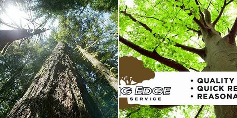 Cutting Edge Landscaping & Tree