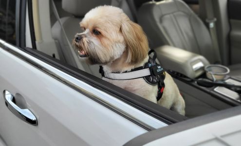 Heritage Oaks Veterinary Hospital 2444 N Heritage Oaks Path, Citrus Hills Florida 34442