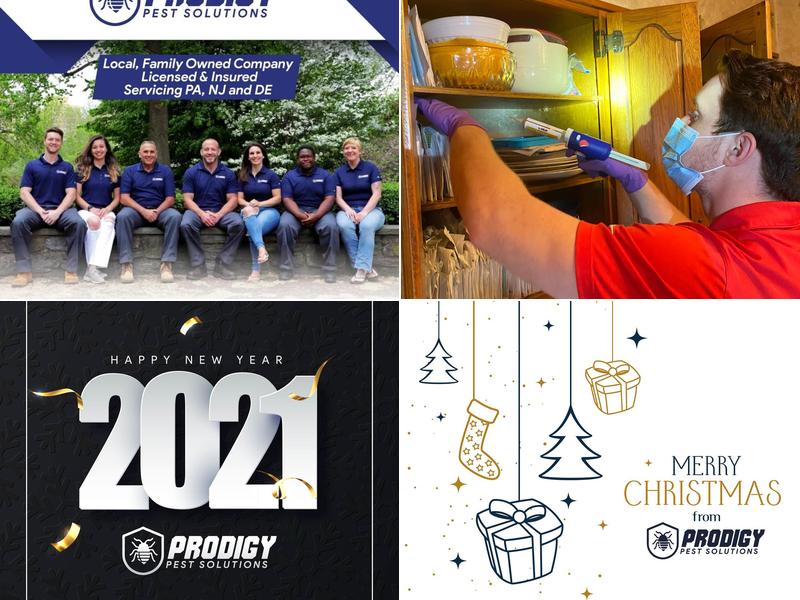 Prodigy Pest Solutions