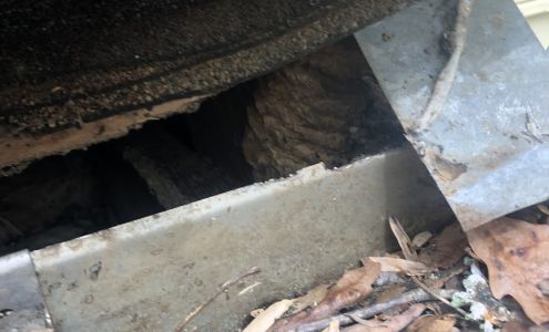 Critter Catchers 3620 Walden Ln, Acworth Georgia 30102