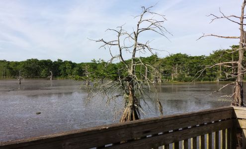Chambers County Museum at Wallisville Wallisville
