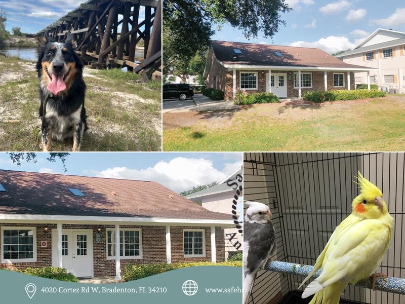 Safe Harbor Animal Clinic