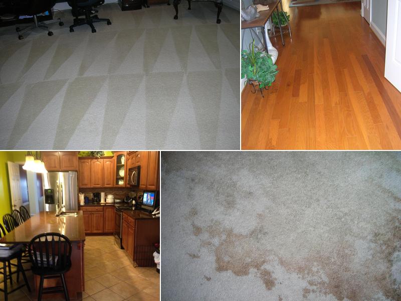 Sunshine International of Savannah Inc.