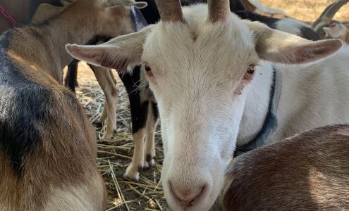 Food and Farm Tours Point Reyes Station