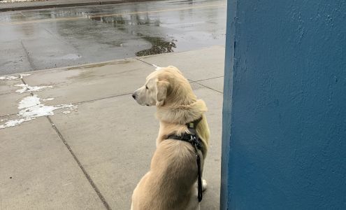 Arctic Tech Solutions