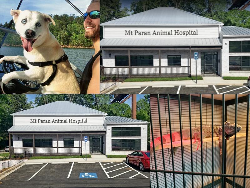 Mt Paran Animal Hospital