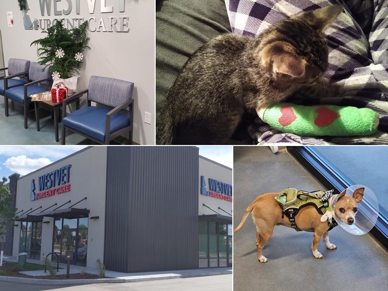 WestVet Urgent Care