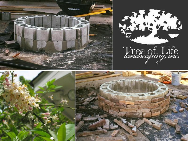 Tree of Life Landscaping & Maintenance