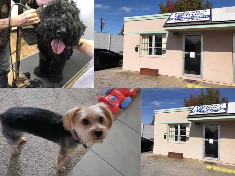 Precious Pawz Pet Grooming