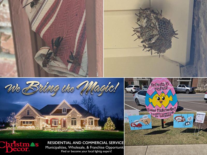 Christmas Decor by Bama Exterminating