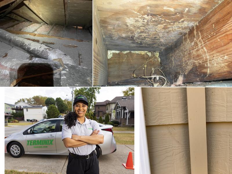 Terminix