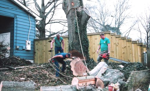 Cleckler's Tree & Stump