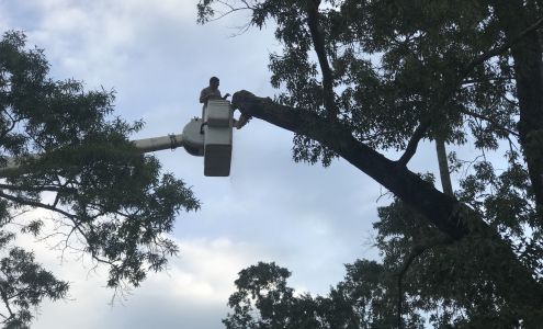 Butler's Tree Service 3039 Co Rd 289, Lanett Alabama 36863