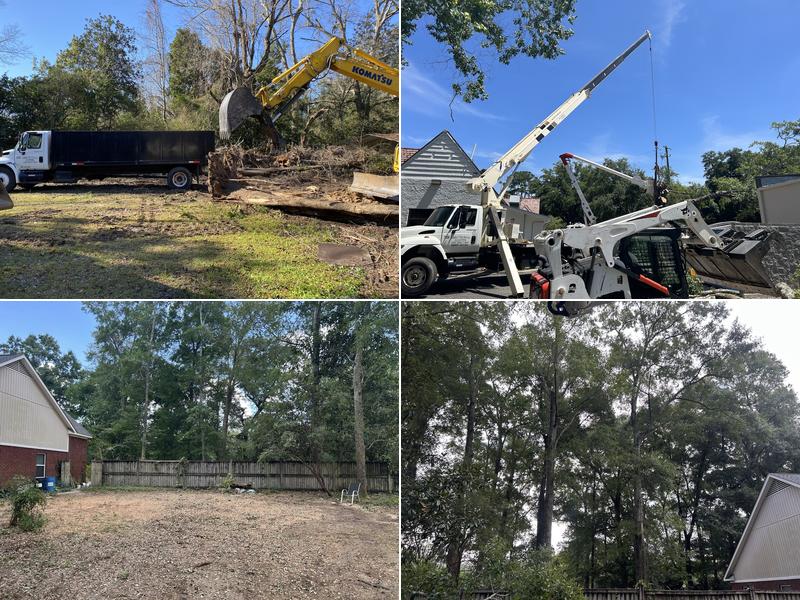 Eddie's Tree Service