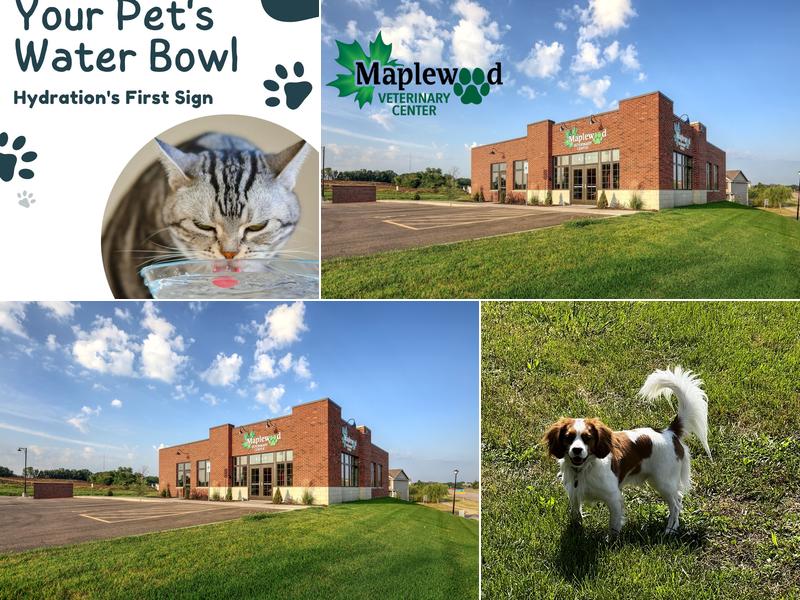 Maplewood Veterinary Center