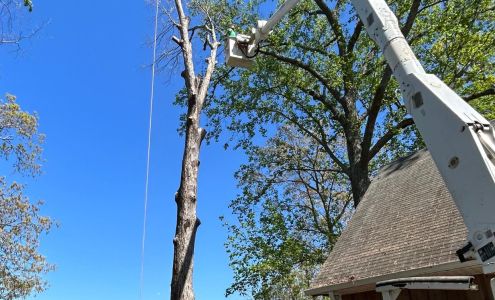 Harris Tree Service 5395 US-11, Springville Alabama 35146