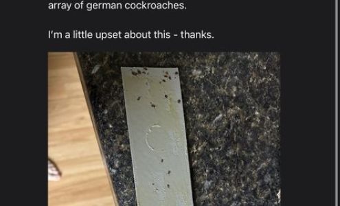 Duckworth-Morris Real Estate