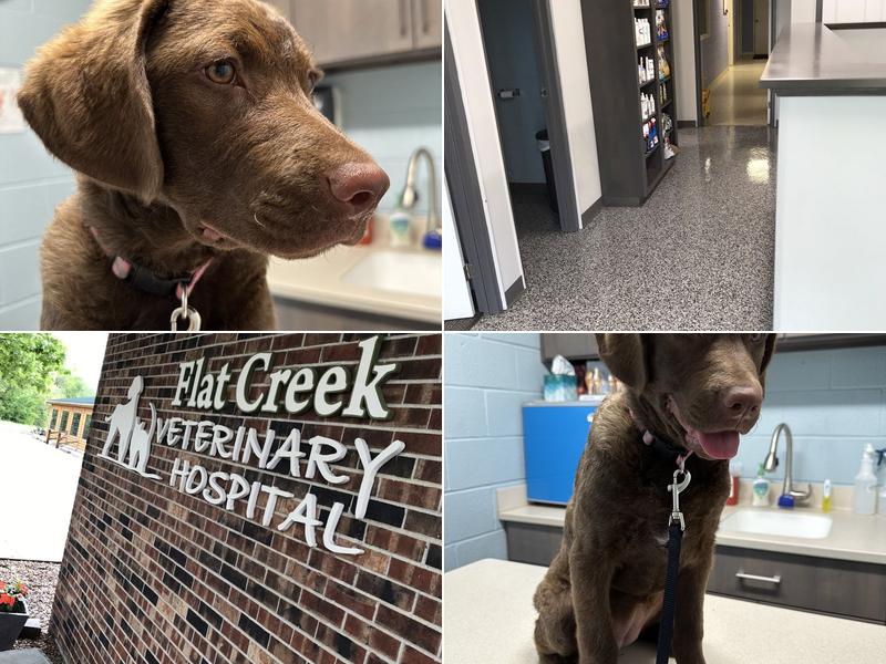 Flat Creek Veterinary Hospital: Grossenburg Tricia DVM