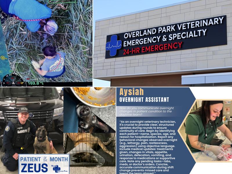 Overland Park Veterinary Emergency and Specialty