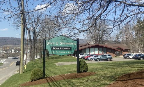 David E. Sperber Md 113 Jensen Rd, Vestal New York 13850