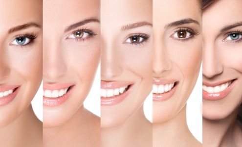 Showcase Dental Laboratory 4694 Tamiami Trail Ste D, Port Charlotte Florida 33980