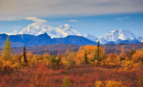 Jack White Real Estate - Wasilla