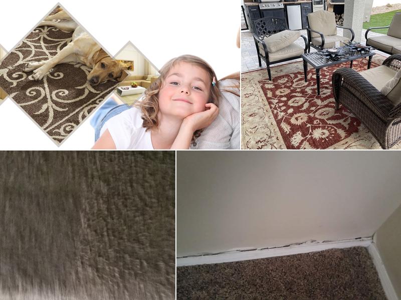 Apex Carpet Cleaning