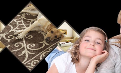 Apex Carpet Cleaning
