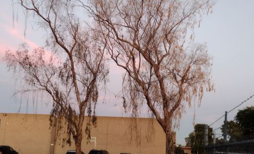 Arizona Retractable Screen