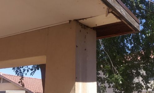 Goodfellas Pest Control