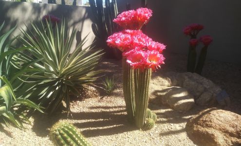 Ersland Touch Landscape