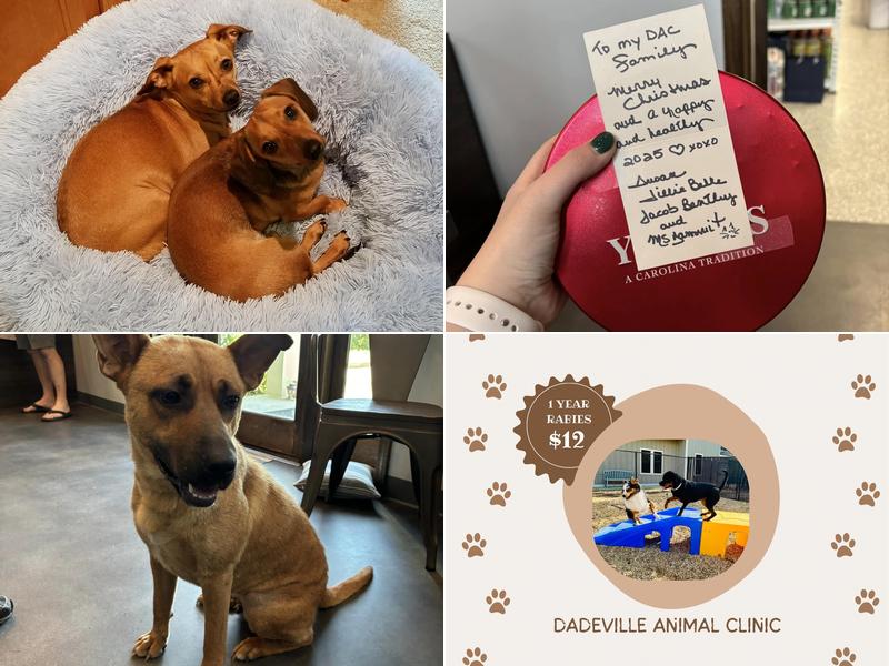 Dadeville Animal Clinic: Lisa Plaisance, DVM