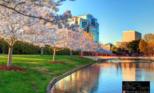 The Davis Team - New South Realtors