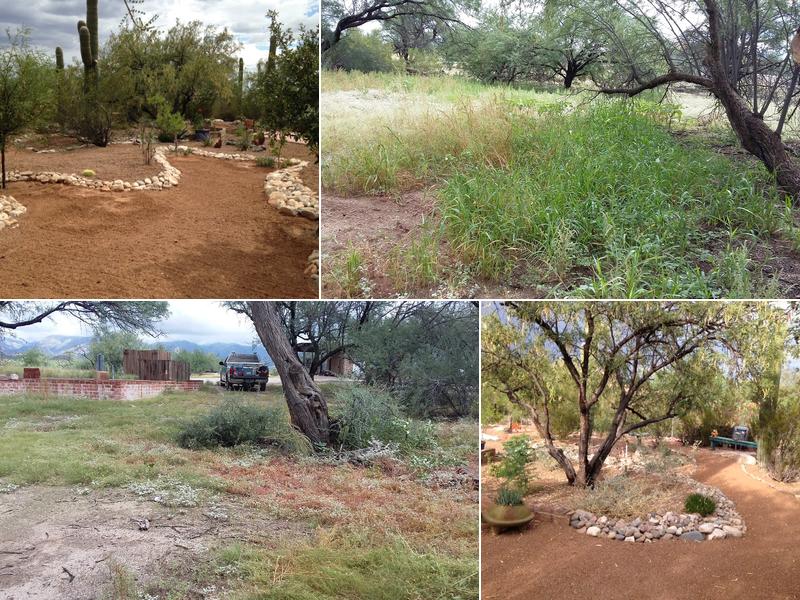 Bear Canyon Nursery & Landscaping