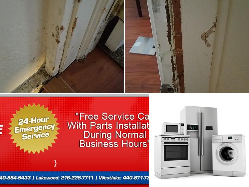 All Appliance Sales & Service