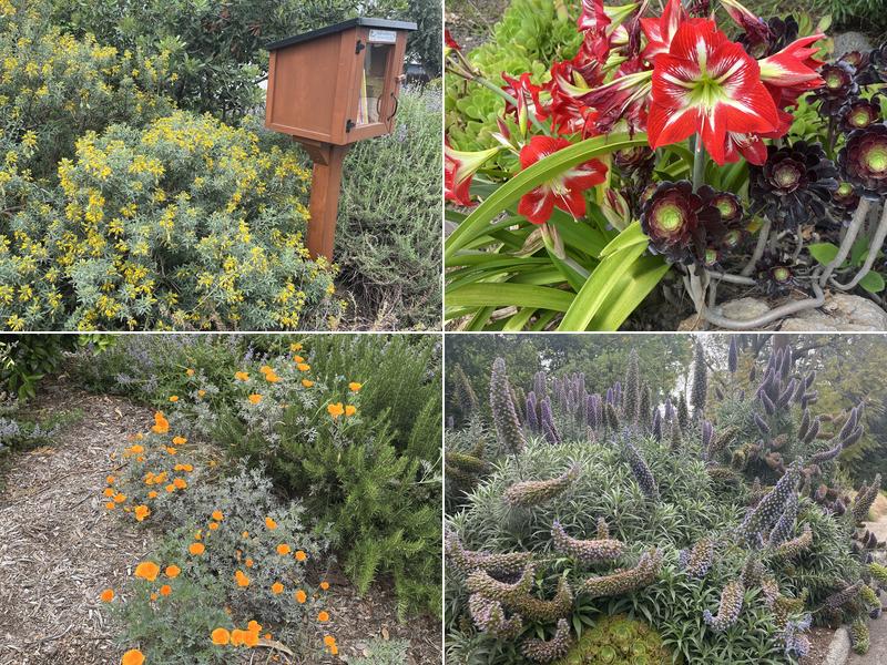 Altadena Real Estate Company | Steve Aranda, Realtor