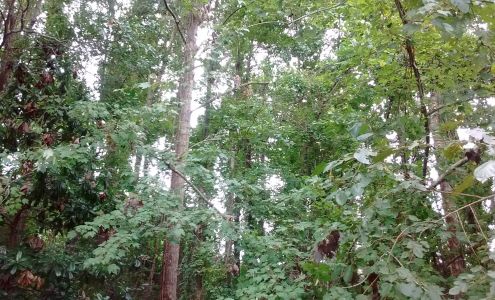 Coastal Appliance Parts Co