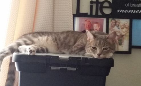 John's Appliance Services 3565 W Burro Dr, Golden Valley Arizona 86413