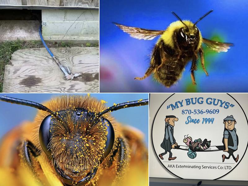 “My Bug Guys” Exterminating Services Company, Ltd.
