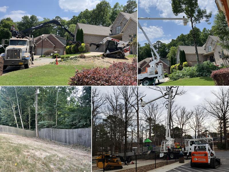 Jedidiah Sawyer Tree Service