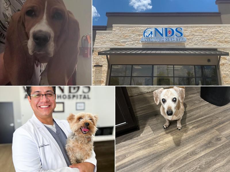 NDS Animal Hospital