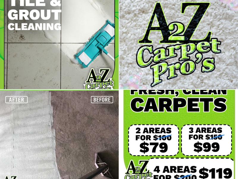 A 2 Z Carpet Pros